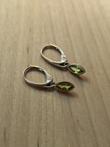 Earrings 925 silver - 925,