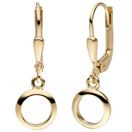 Earrings circle circles